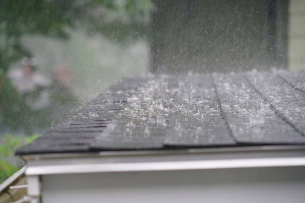 Professional Roofing Service in Corona De Tucson, AZ