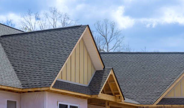 Best Metal Roofing Installation  in Corona De Tucson, AZ